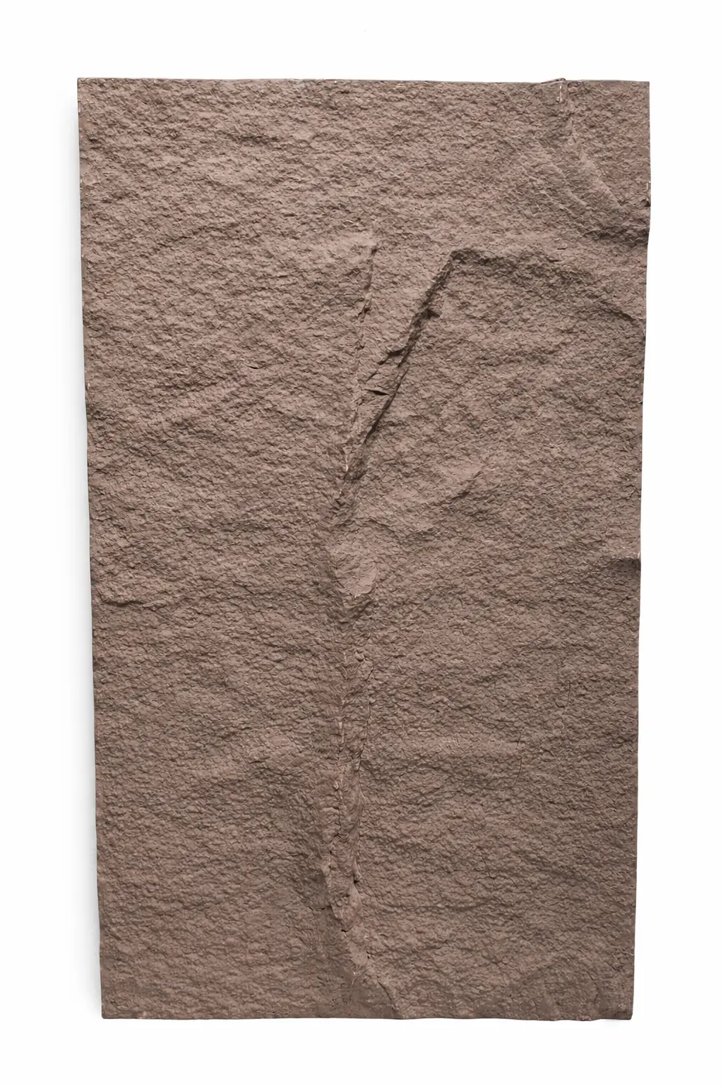 لوح حائط موتي